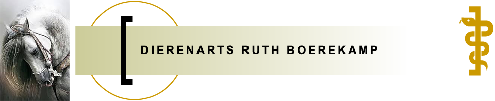 Dierenarts Ruth Boerekamp